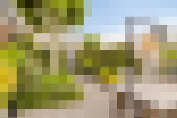 Kerkstraat 86 Goirle thumbnail 32
