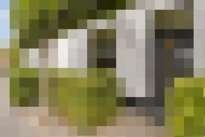 Kerkstraat 86 Goirle thumbnail 39