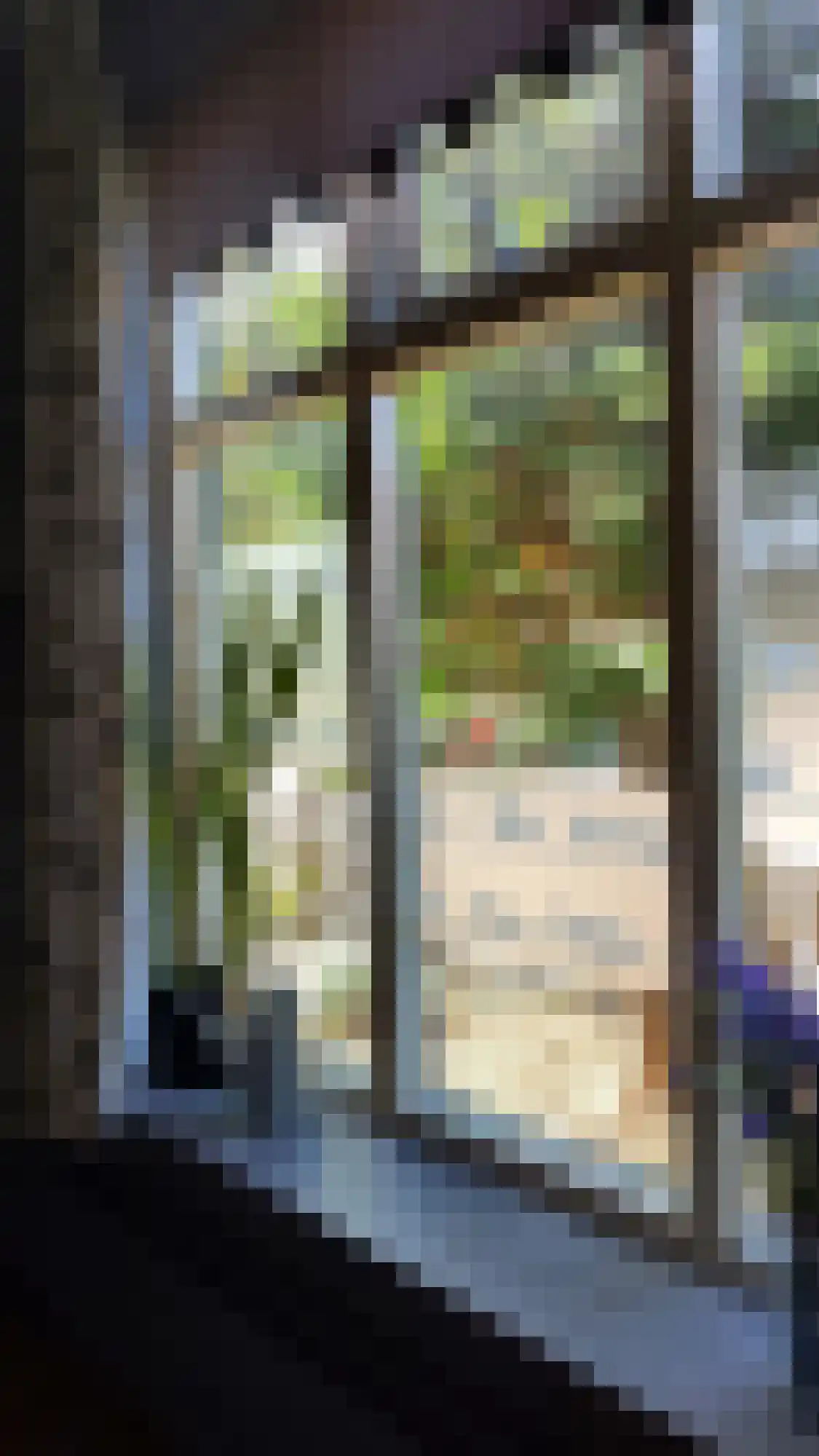 Kerkstraat 87 Renkum thumbnail 7