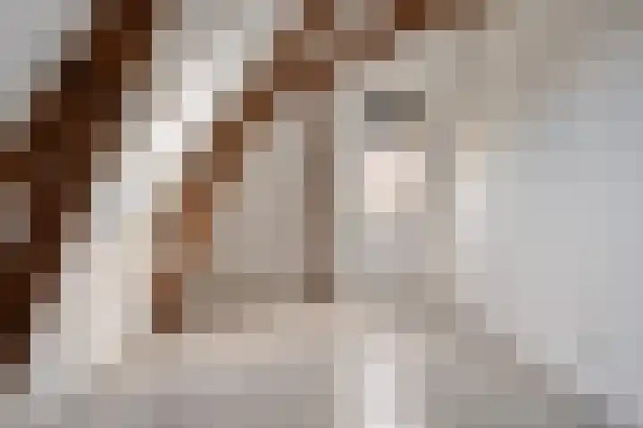 Kerkstraat 88 D Hengelo thumbnail 21