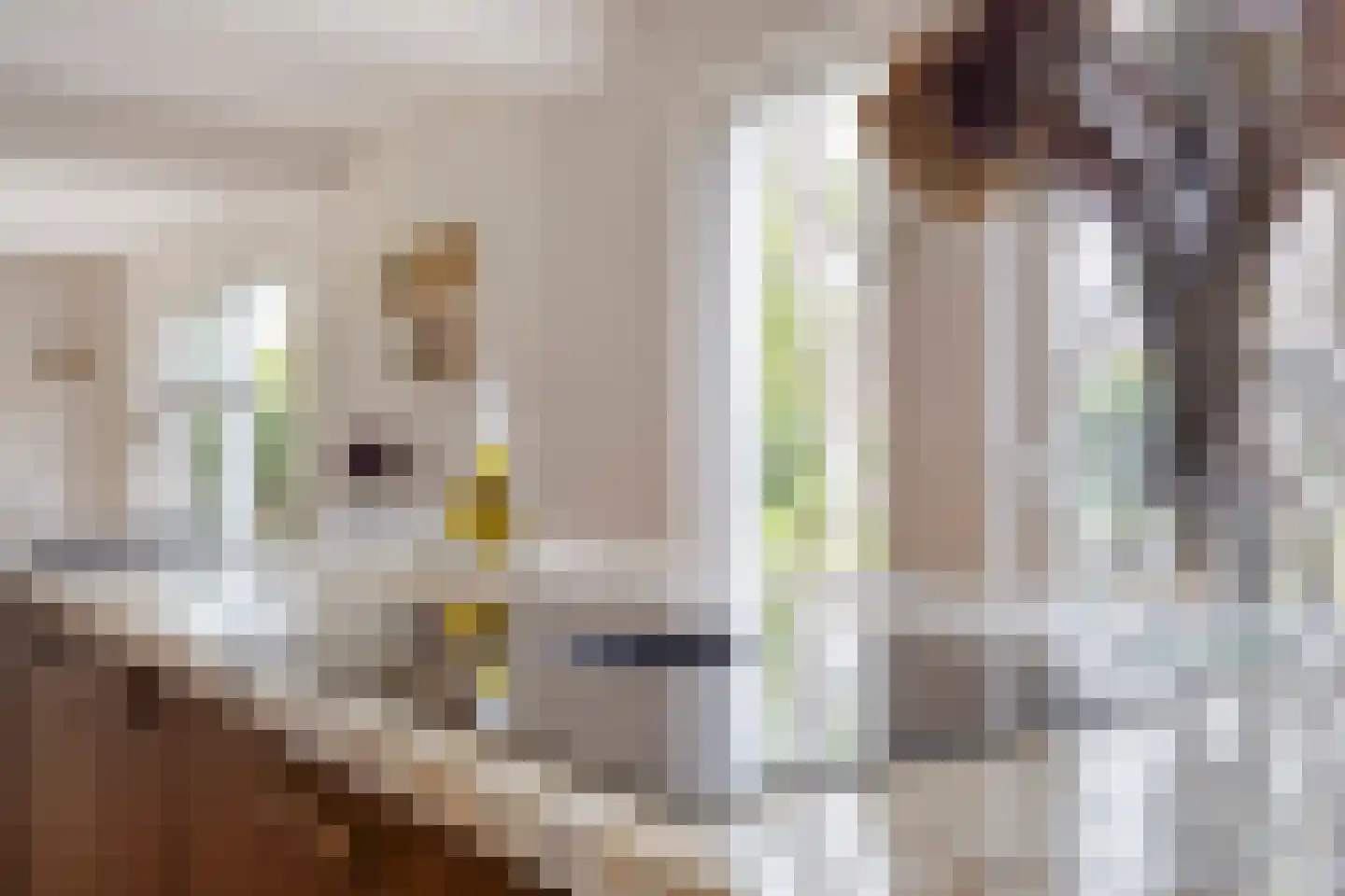 Kerkstraat 88 Kerkdriel thumbnail 18