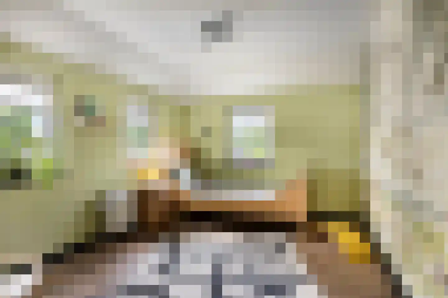 Kerkstraat 88 Kerkdriel thumbnail 34