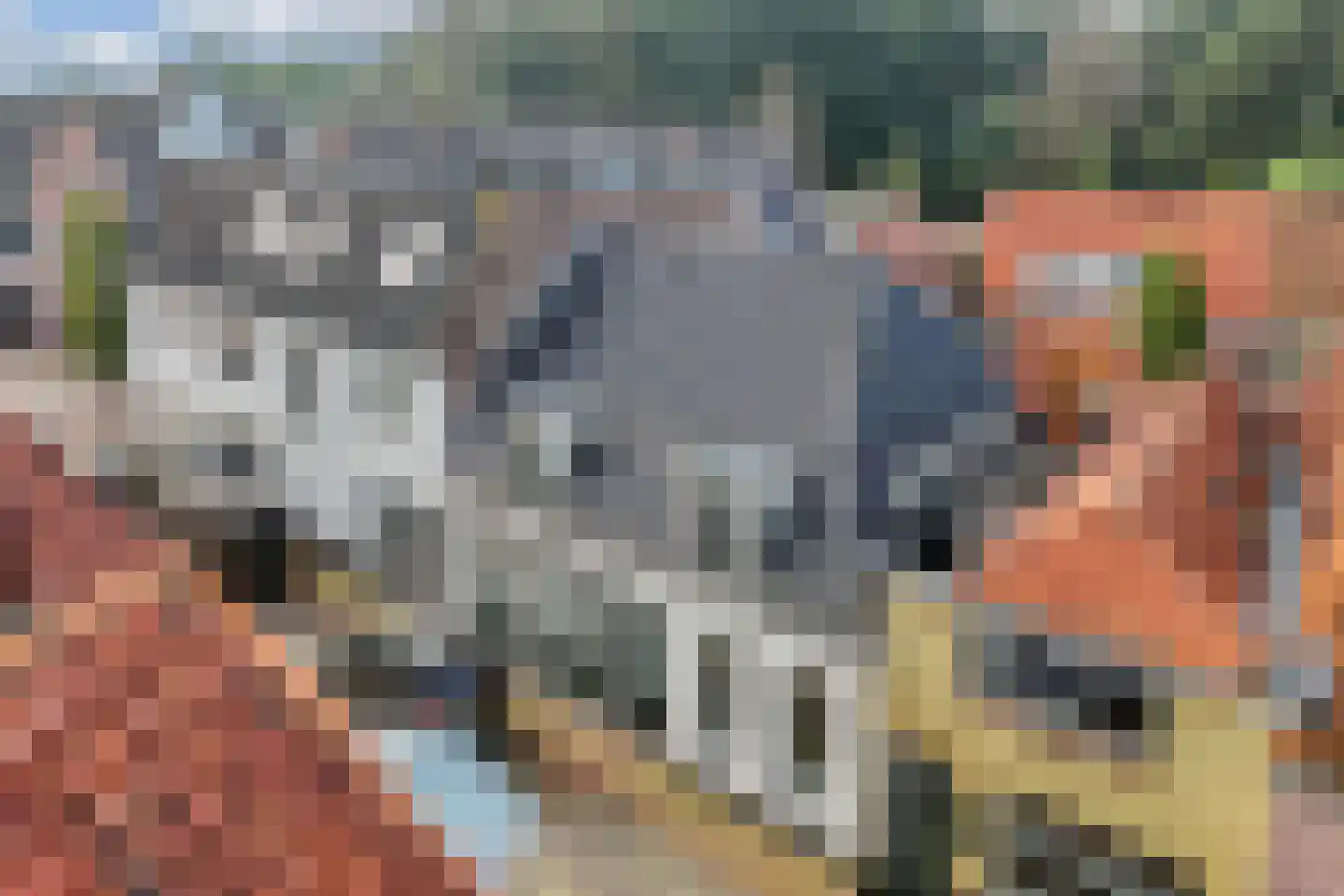 Kerkstraat 88 Vollenhove thumbnail 15