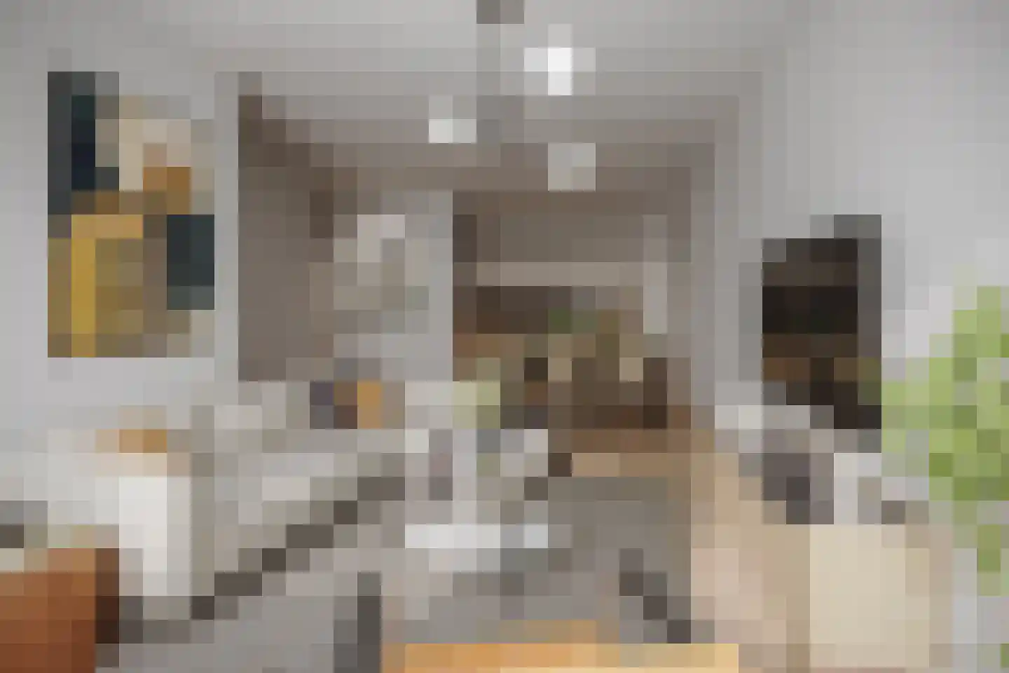 Kerkstraat 88 Vollenhove thumbnail 5