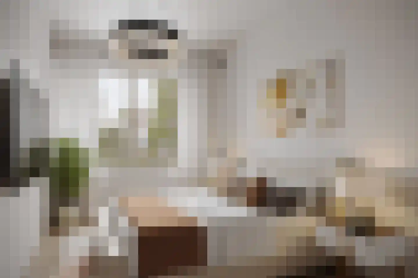 Kerkstraat 88 Vollenhove thumbnail 6
