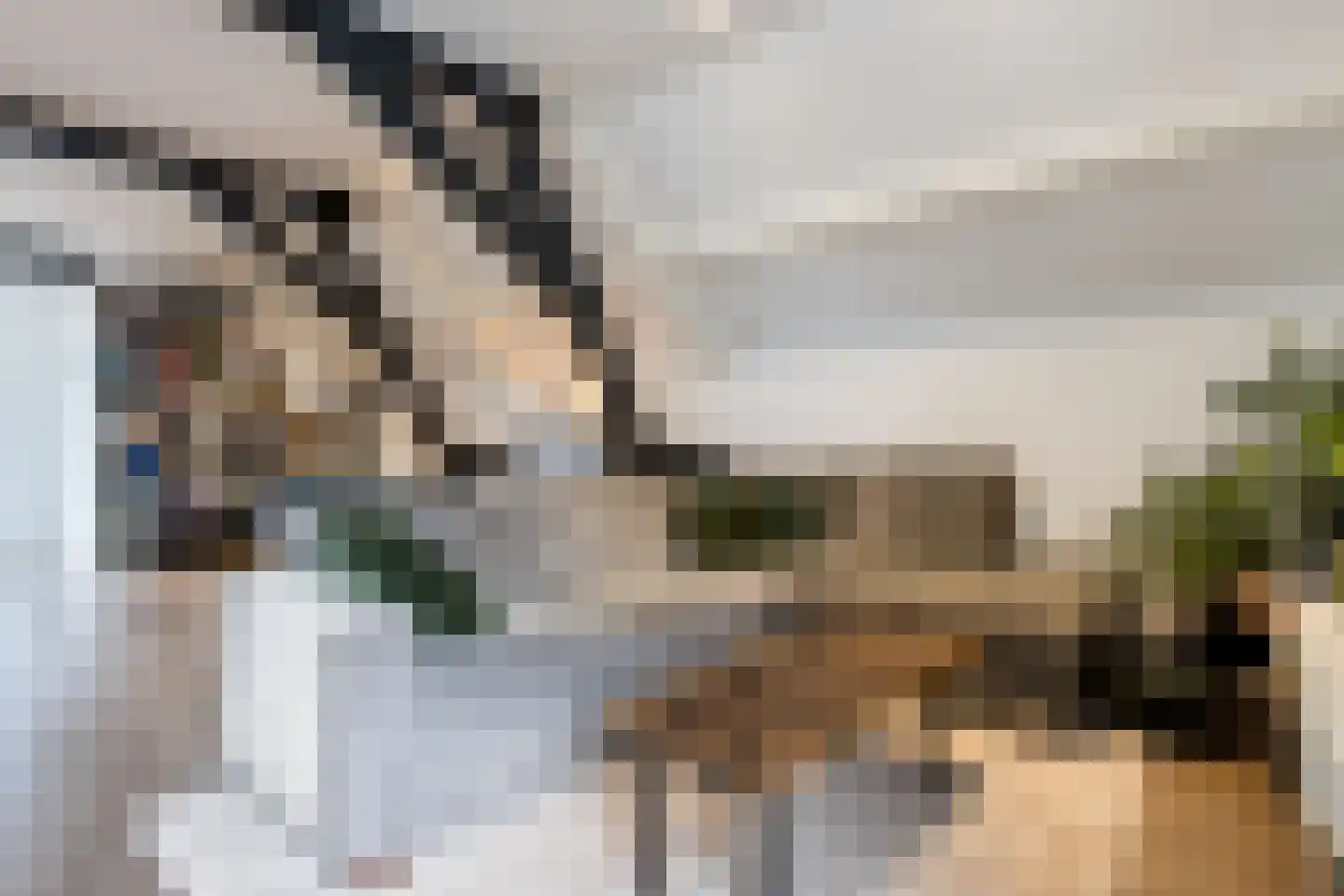 Kerkstraat 9 Almkerk thumbnail 14