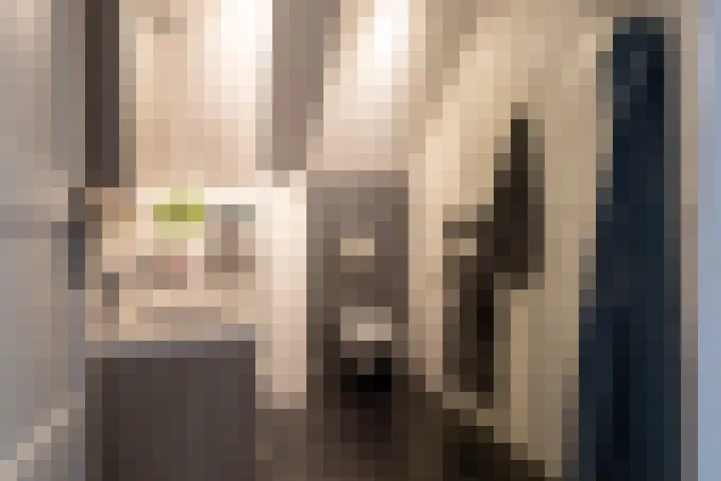 Kerkstraat 9 Almkerk thumbnail 19