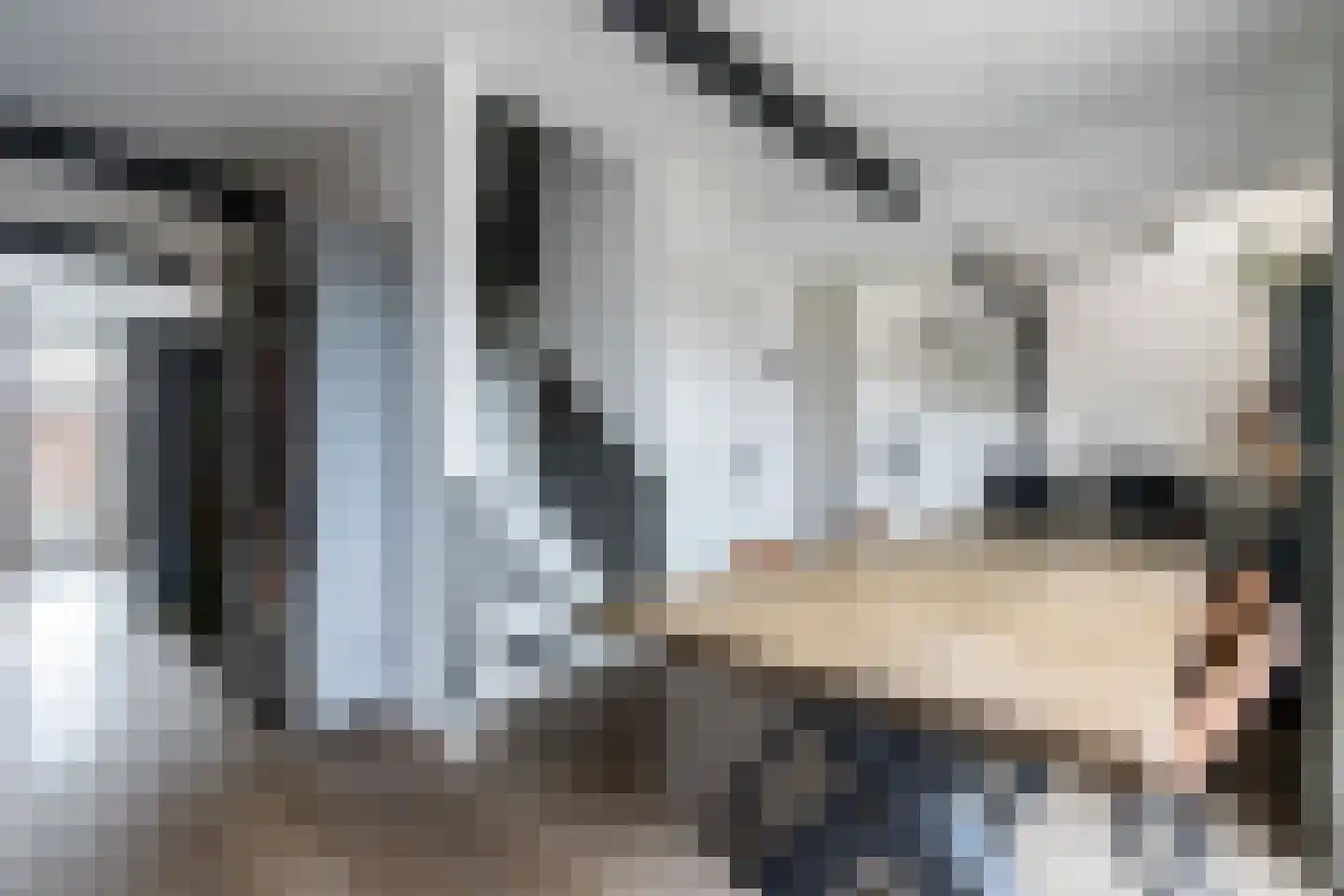 Kerkstraat 9 Almkerk thumbnail 19