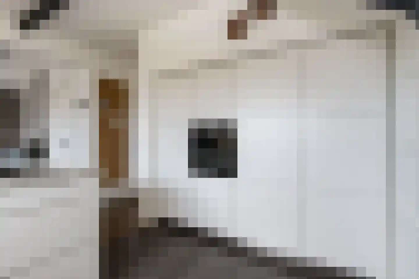 Kerkstraat 9 Almkerk thumbnail 24