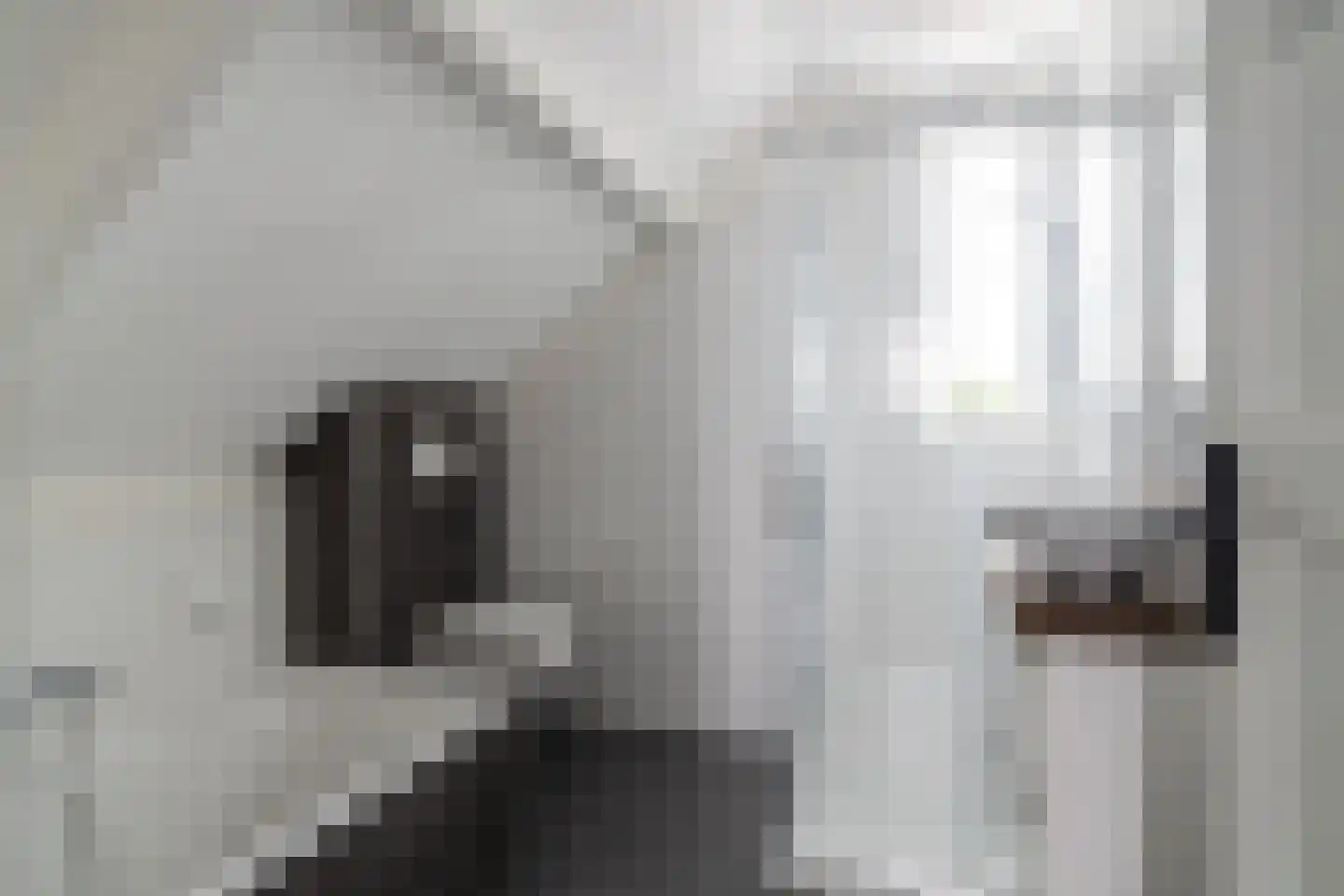 Kerkstraat 9 Almkerk thumbnail 24