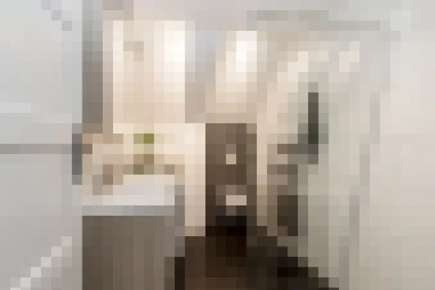 Kerkstraat 9 Almkerk thumbnail 28