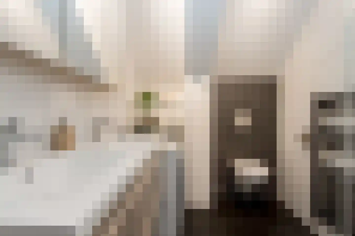 Kerkstraat 9 Almkerk thumbnail 29