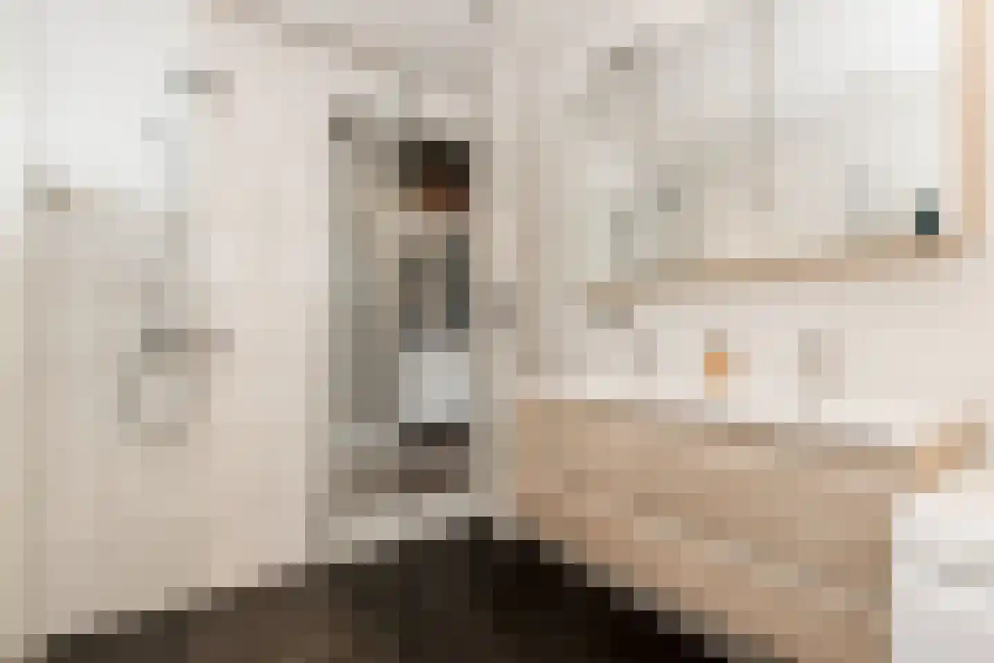 Kerkstraat 9 Almkerk thumbnail 30
