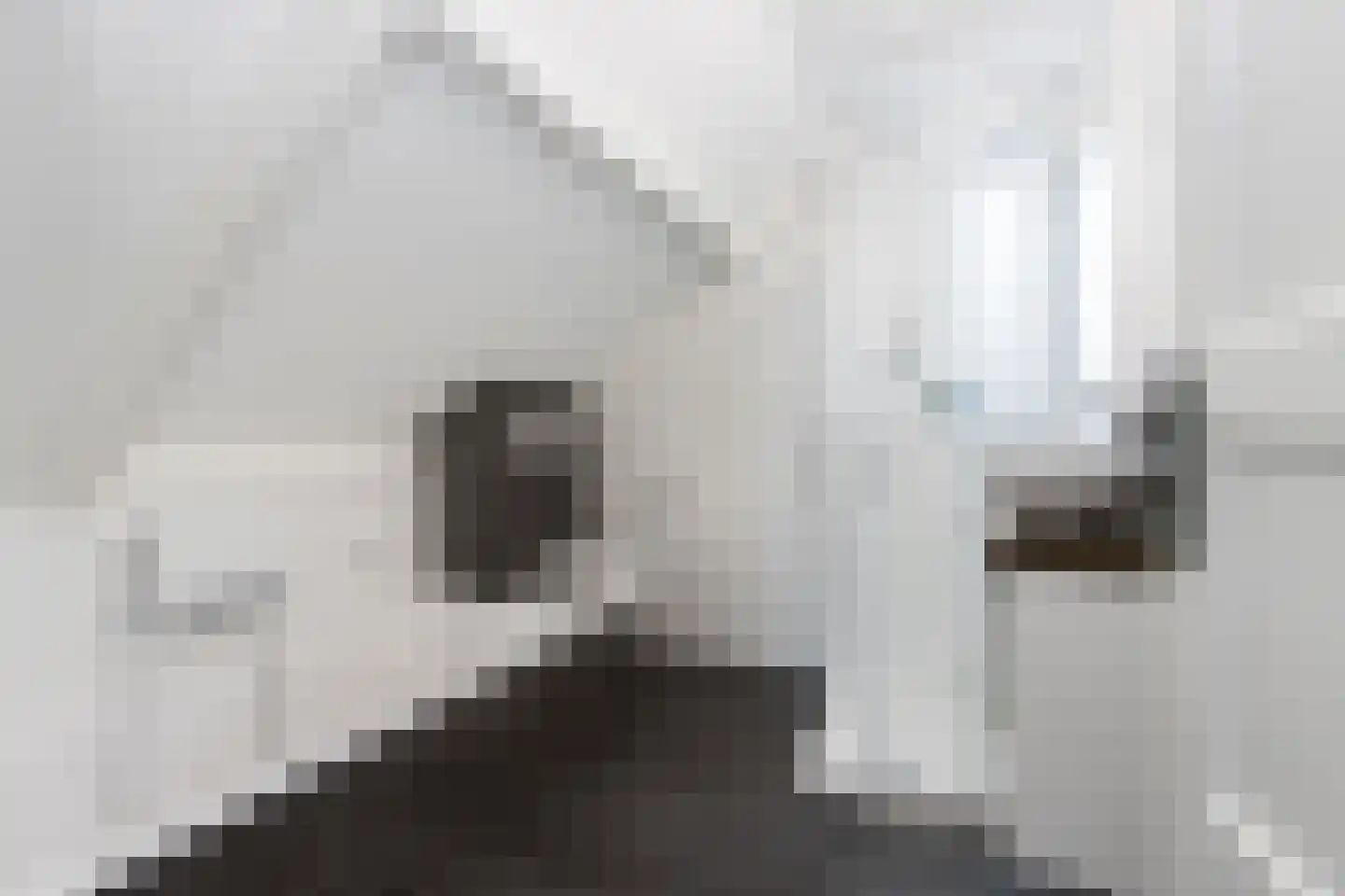 Kerkstraat 9 Almkerk thumbnail 47