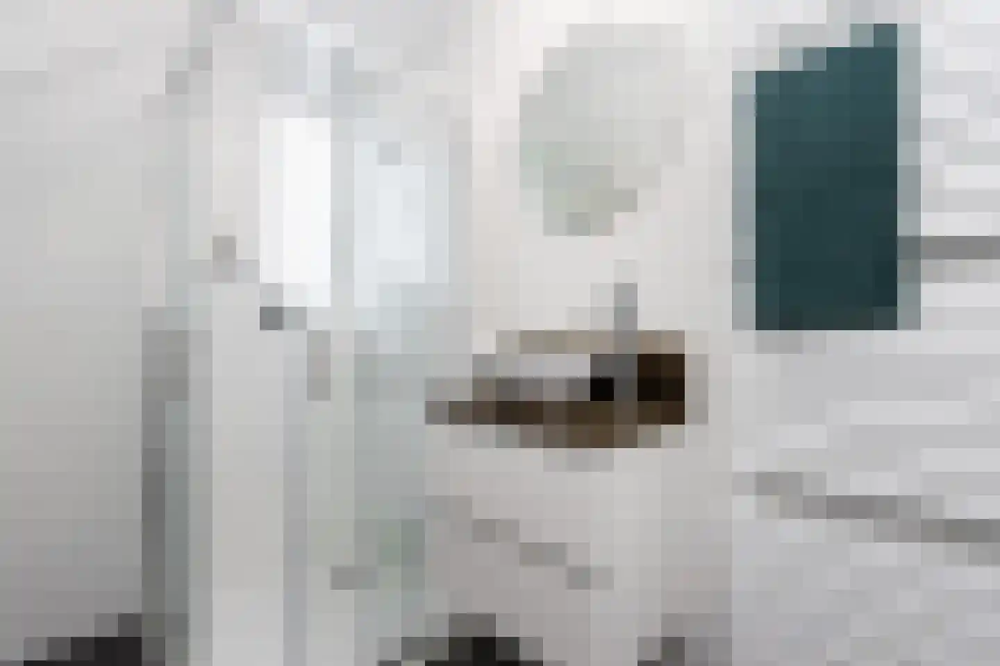Kerkstraat 9 Almkerk thumbnail 48