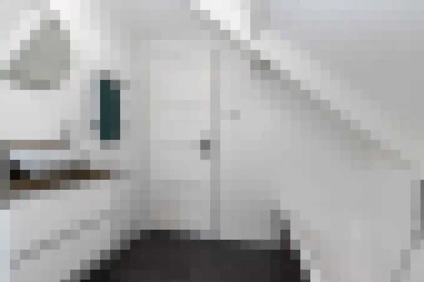 Kerkstraat 9 Almkerk thumbnail 49