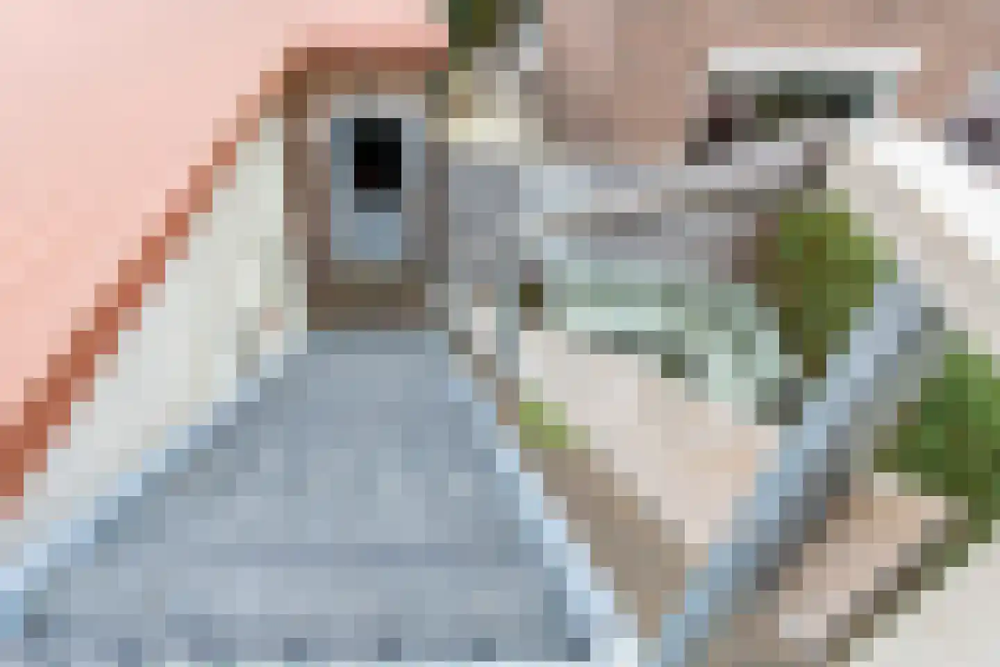 Kerkstraat 9 Almkerk thumbnail 57