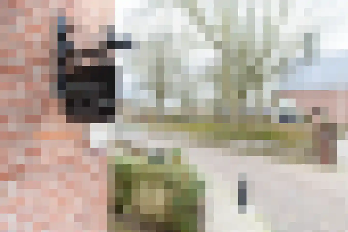 Kerkstraat 9 Almkerk thumbnail 62