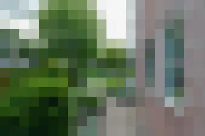 Kerkstraat 9 Beilen thumbnail 45