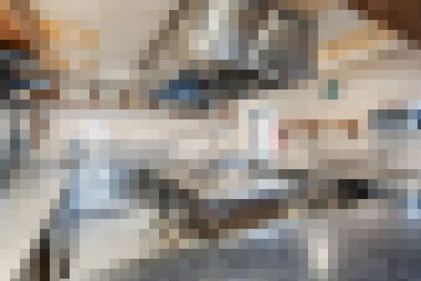 Kerkstraat 9 Blokzijl thumbnail 11