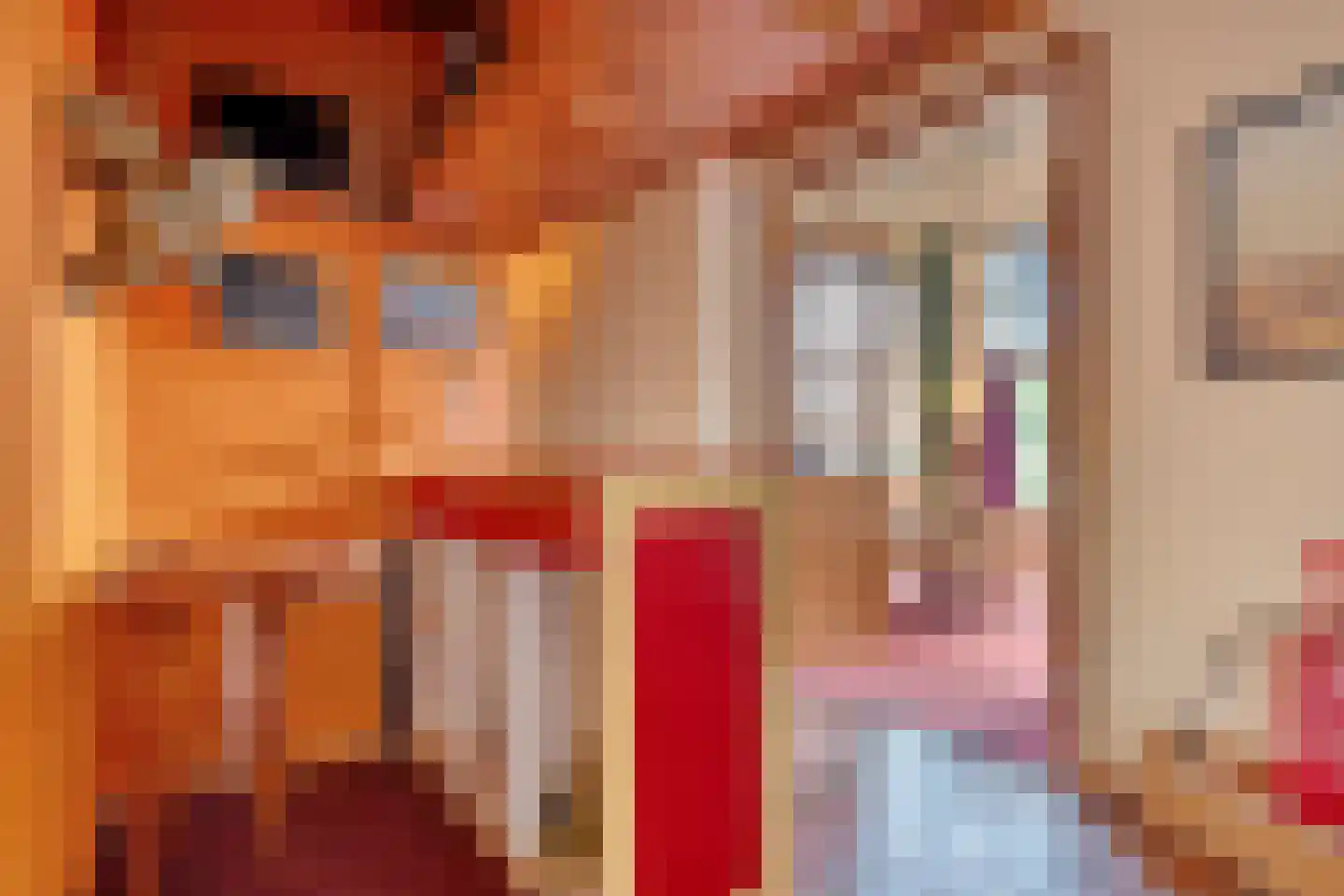 Kerkstraat 9 Blokzijl thumbnail 14