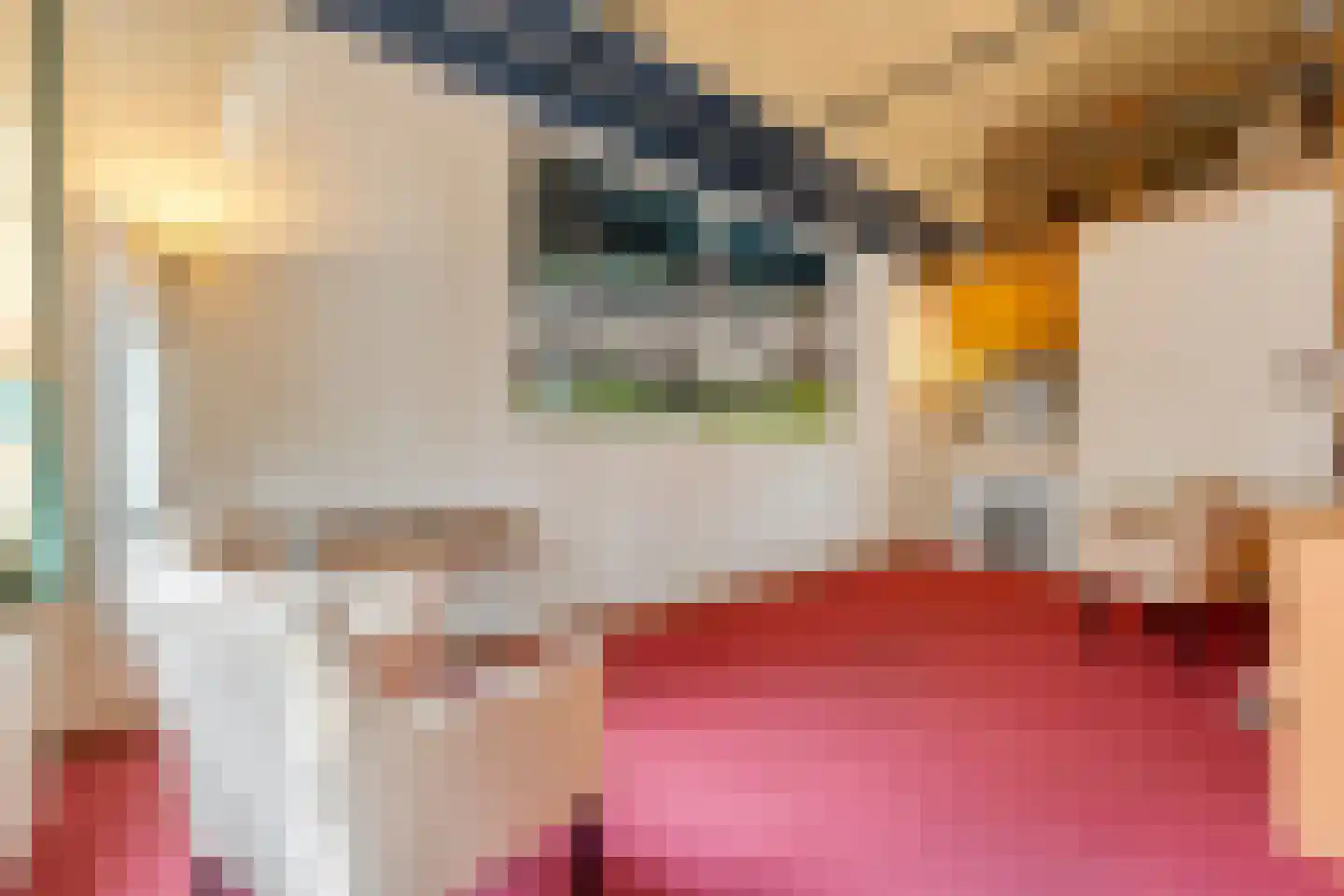 Kerkstraat 9 Blokzijl thumbnail 22