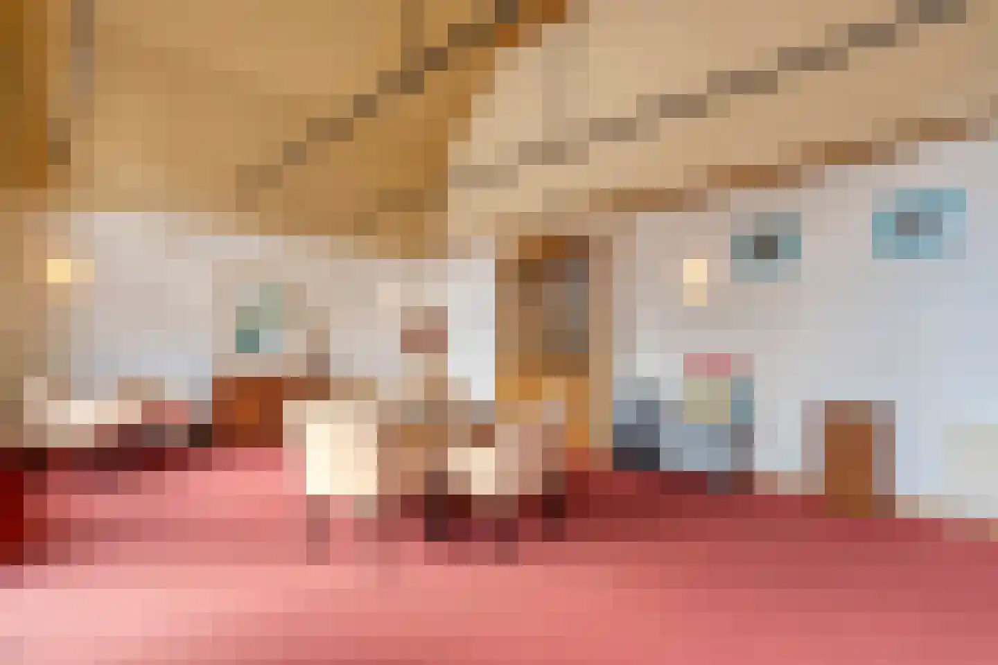 Kerkstraat 9 Blokzijl thumbnail 30