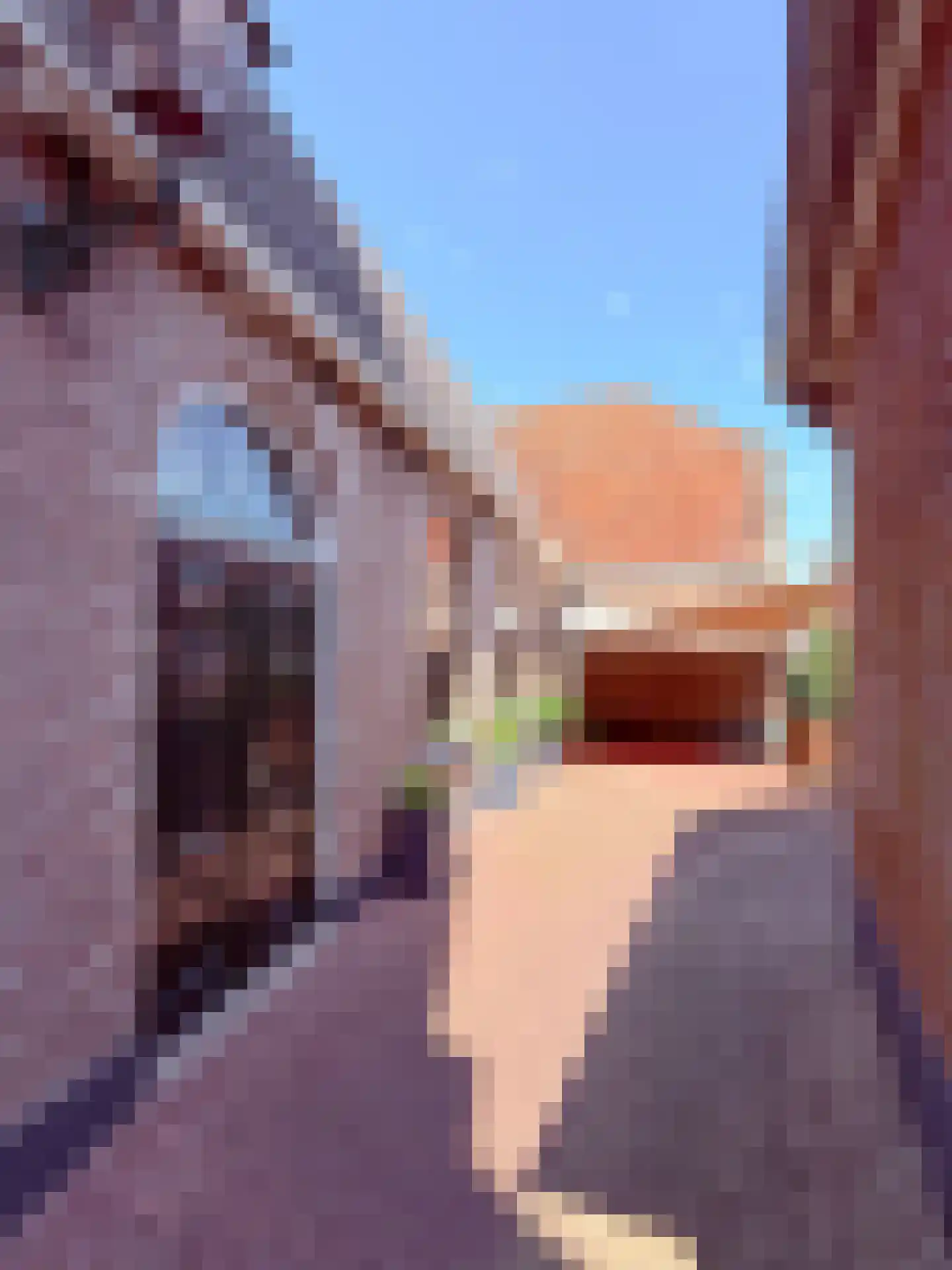 Kerkstraat 9 Blokzijl thumbnail 33