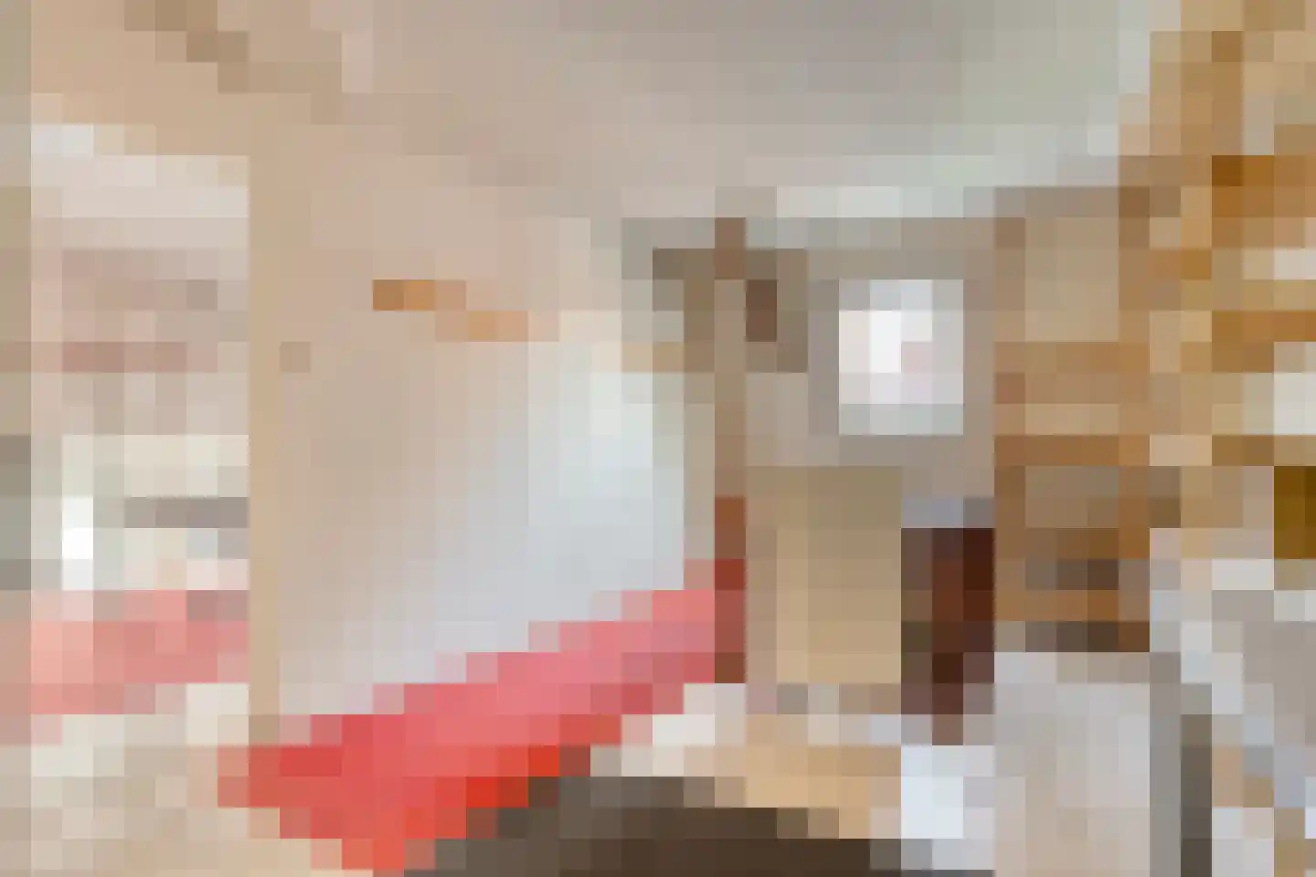 Kerkstraat 9 Blokzijl thumbnail 34