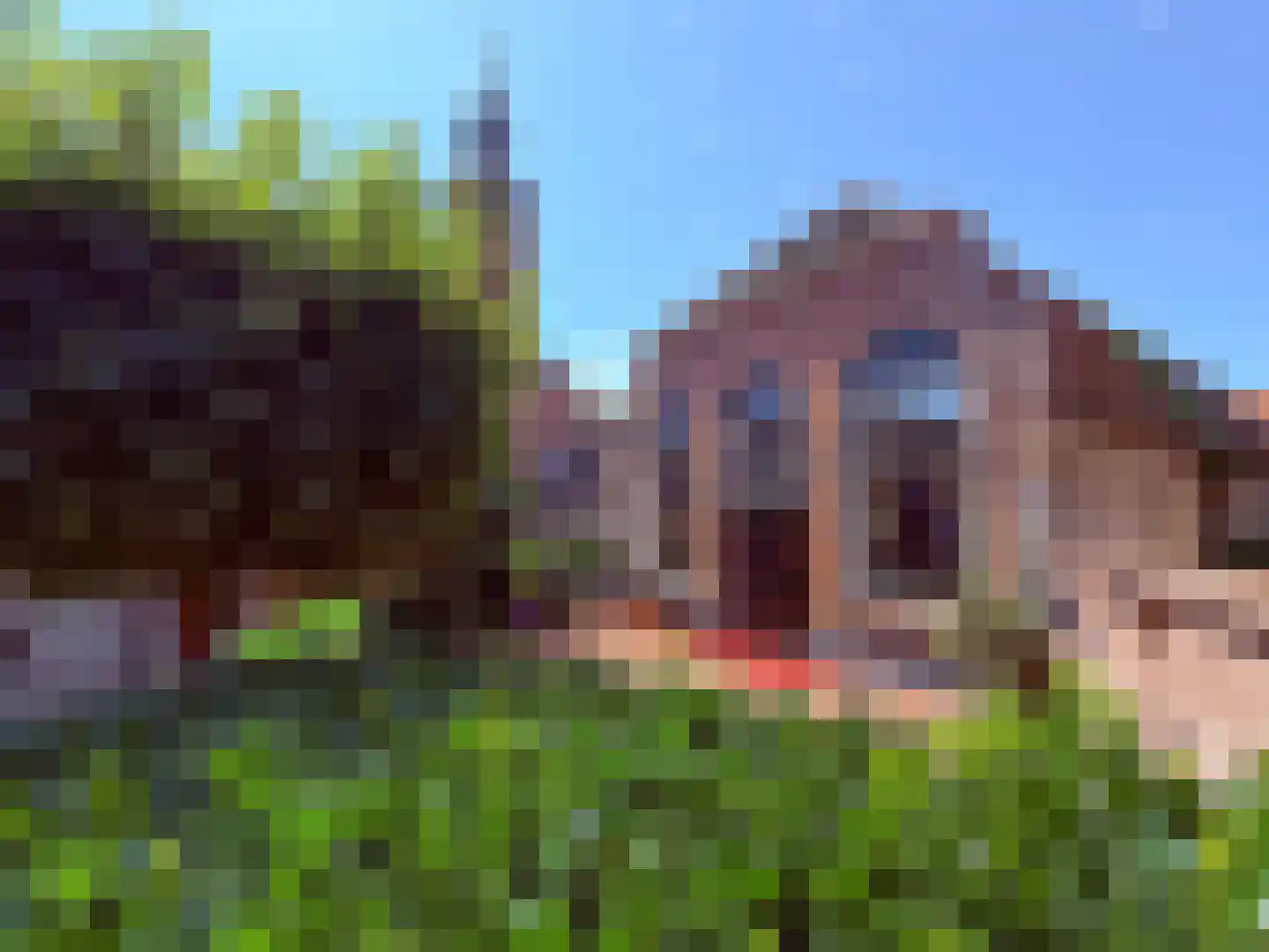 Kerkstraat 9 Blokzijl thumbnail 38