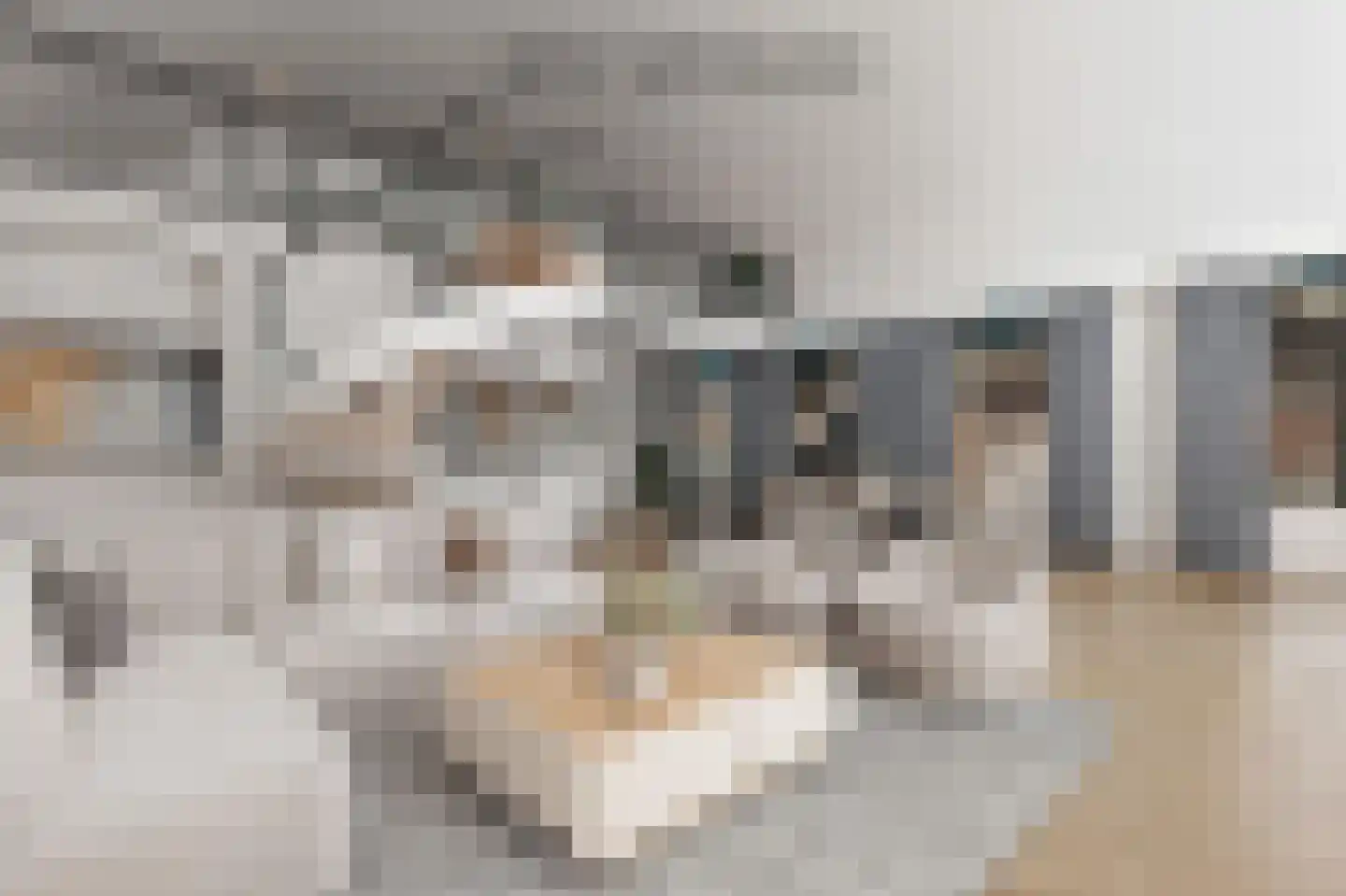 Kerkstraat 9 Blokzijl thumbnail 6