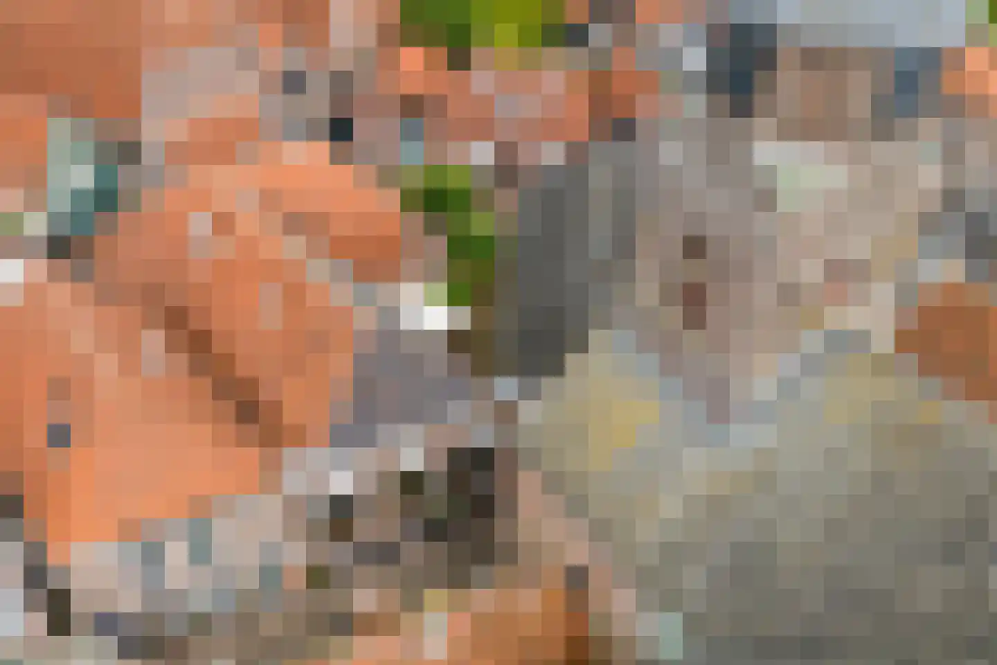 Kerkstraat 9 Blokzijl thumbnail 9