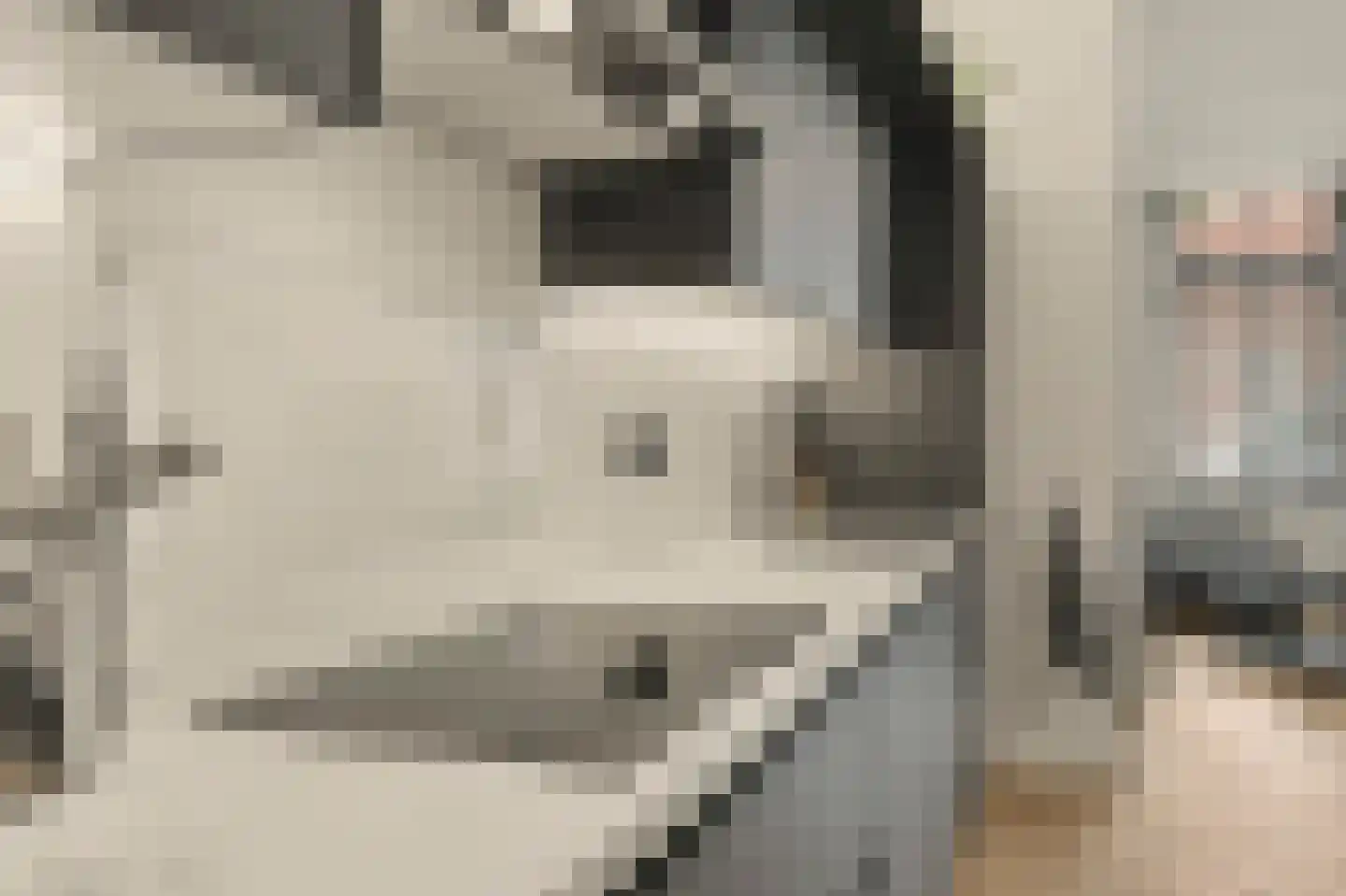 Kerkstraat 9 Diessen thumbnail 12