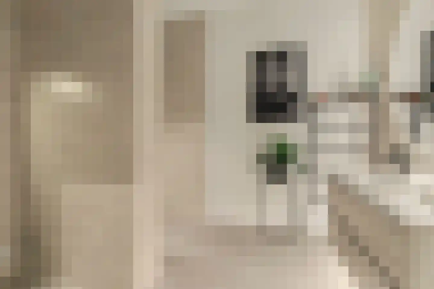 Kerkstraat 9 Diessen thumbnail 19