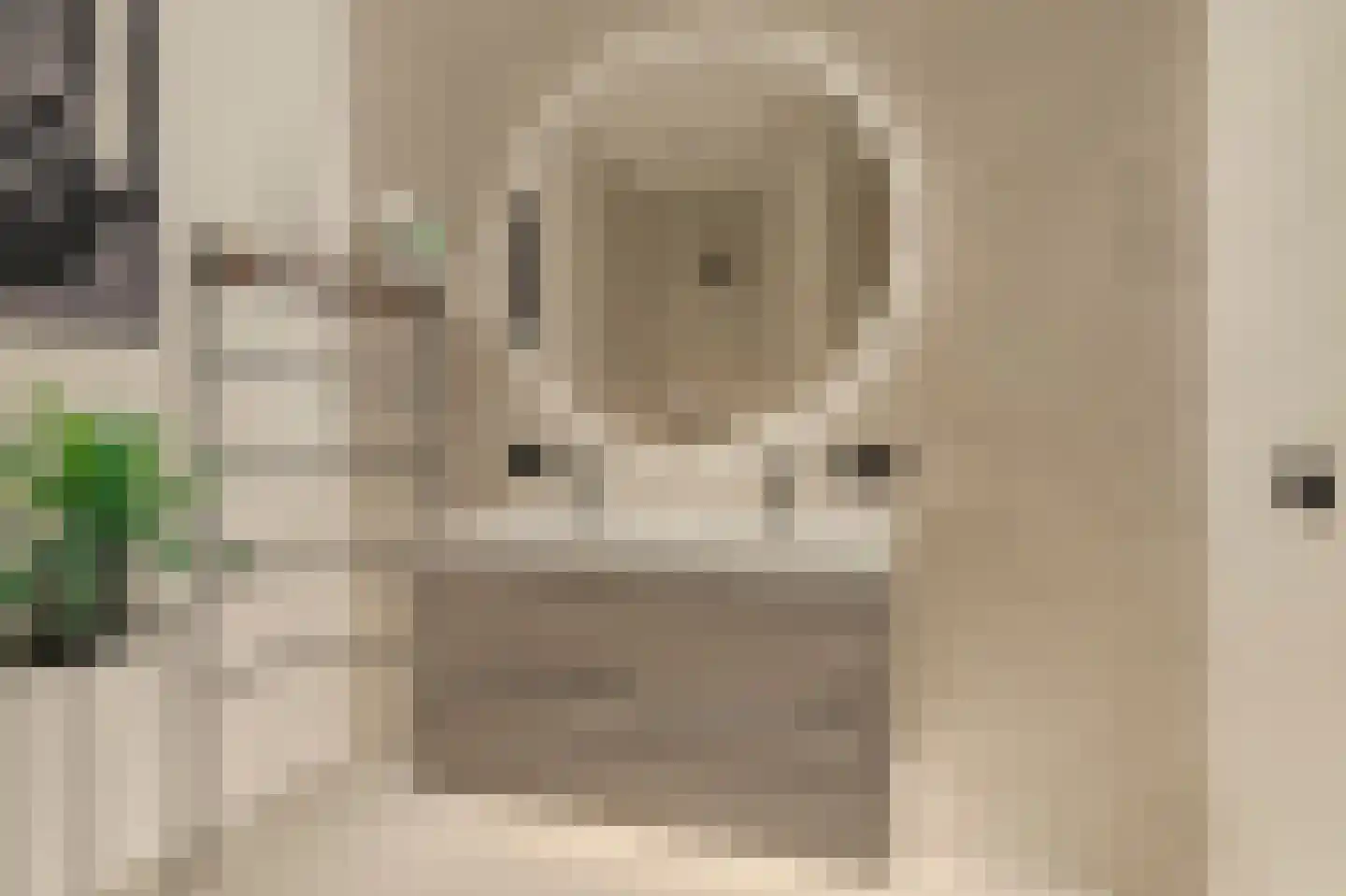 Kerkstraat 9 Diessen thumbnail 21