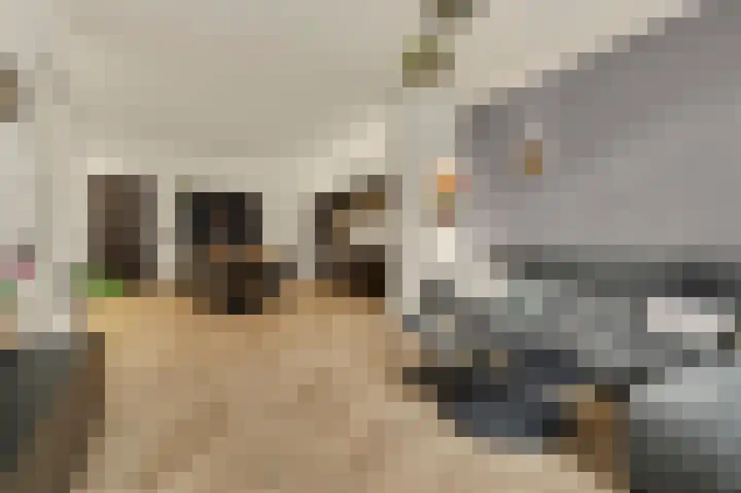 Kerkstraat 9 Diessen thumbnail 8