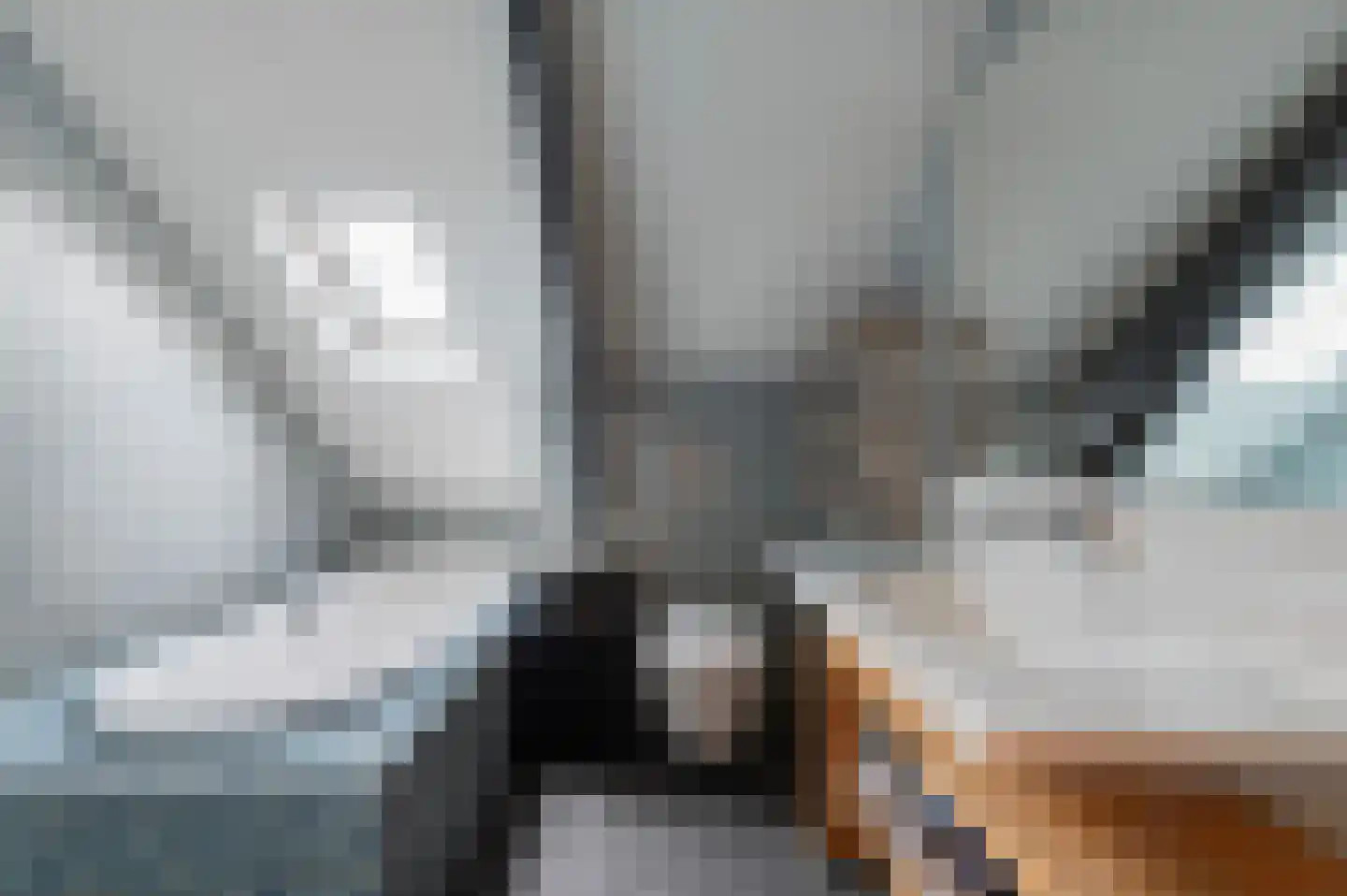 Kerkstraat 9 Drempt thumbnail 10