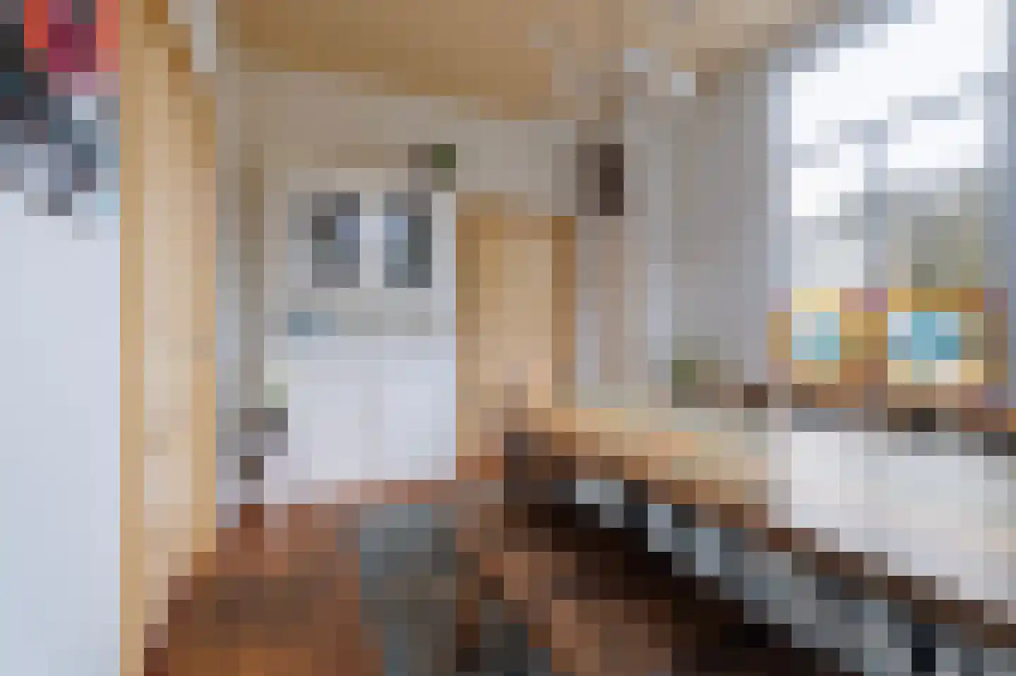 Kerkstraat 9 Drempt thumbnail 25