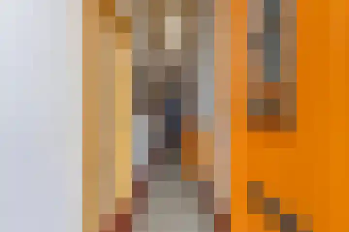 Kerkstraat 9 Drempt thumbnail 26