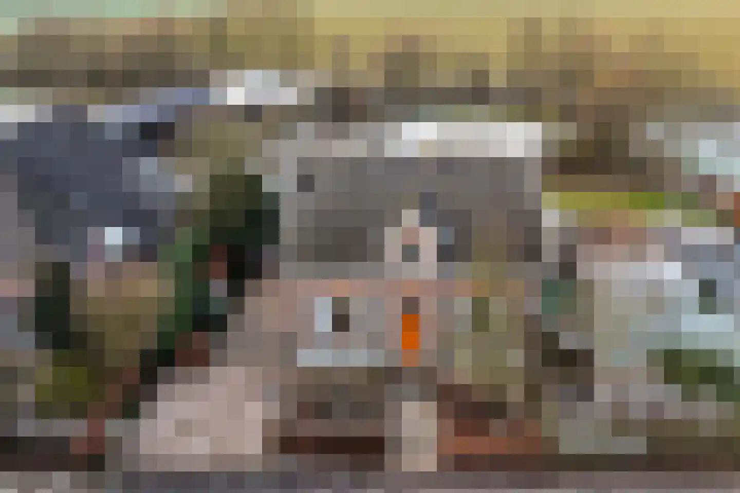 Kerkstraat 9 Drempt thumbnail 29