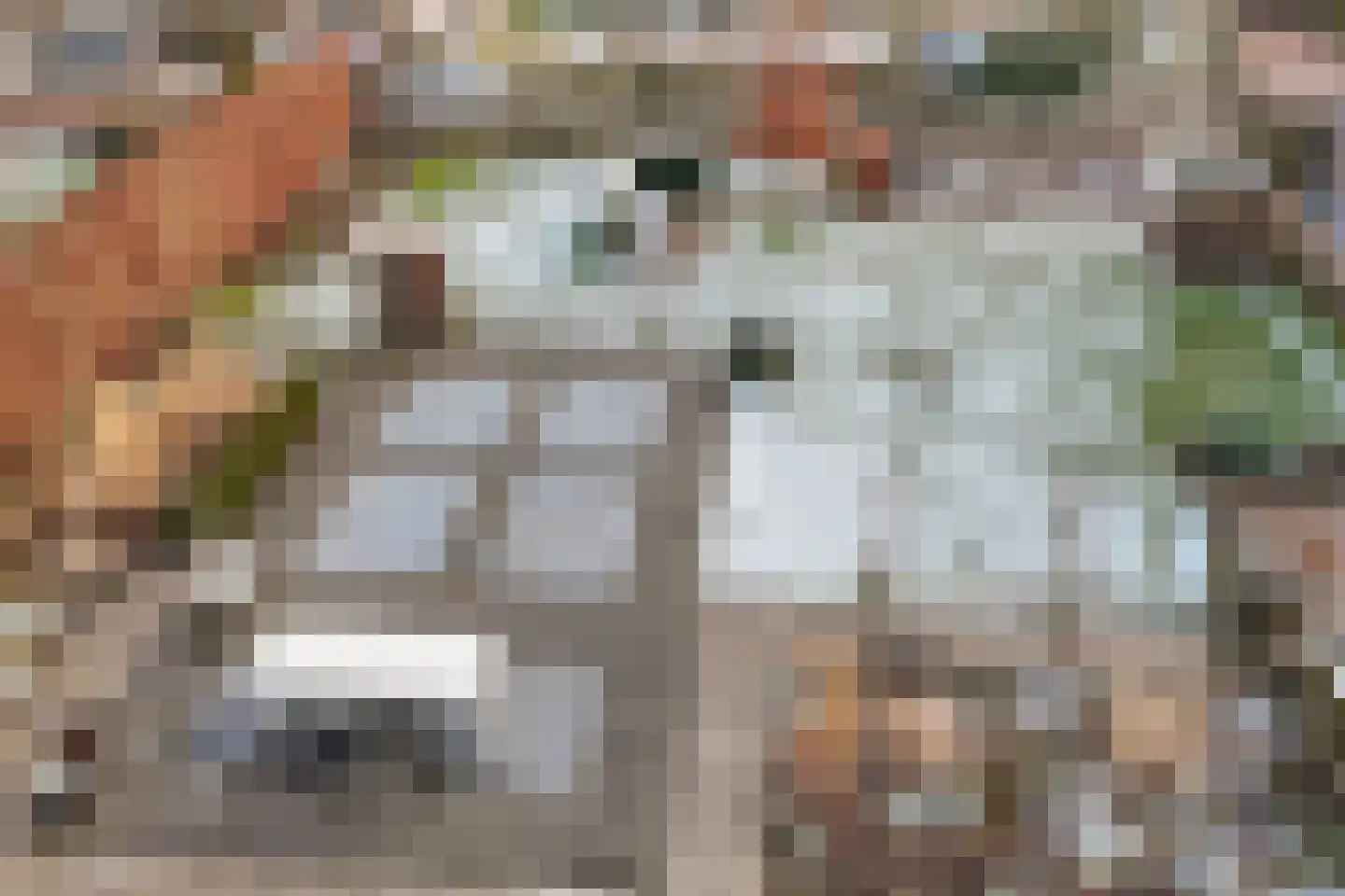 Kerkstraat 9 Drempt thumbnail 33