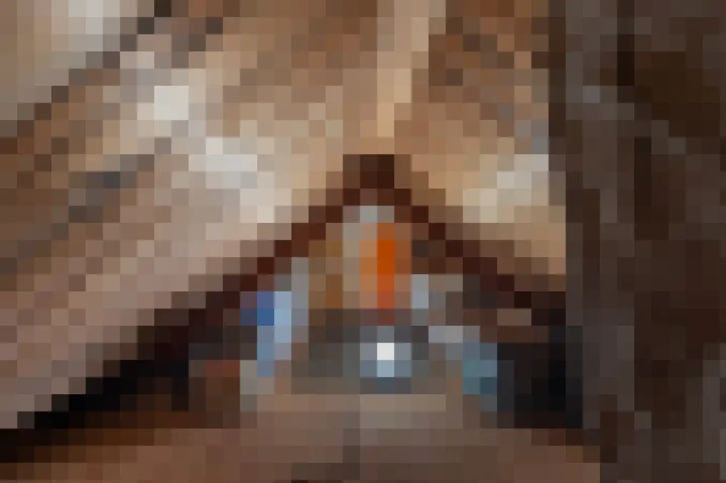 Kerkstraat 9 Drempt thumbnail 62