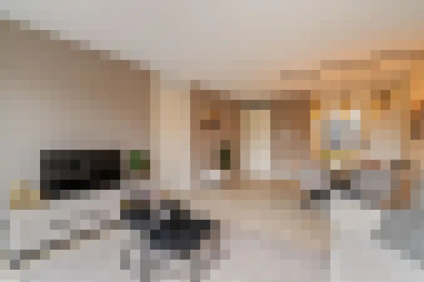 Kerkstraat 9 Klaaswaal thumbnail 17