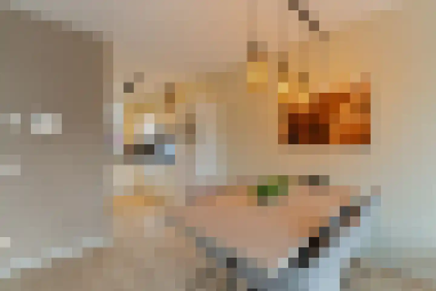 Kerkstraat 9 Klaaswaal thumbnail 18
