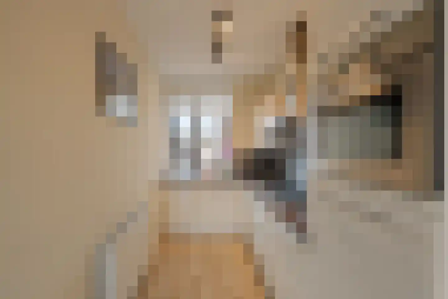 Kerkstraat 9 Klaaswaal thumbnail 20