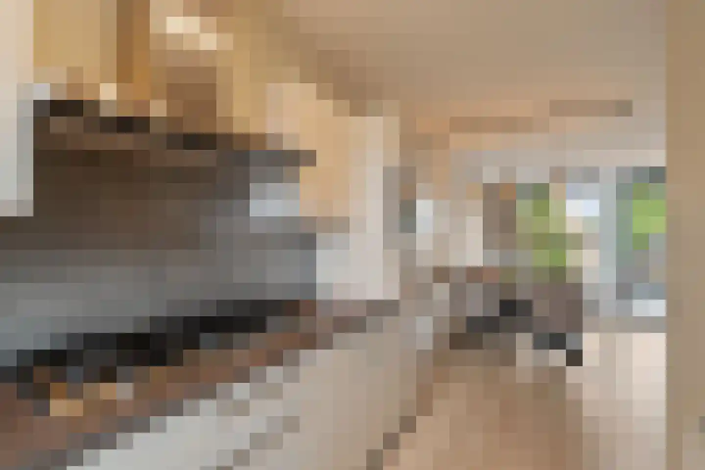 Kerkstraat 9 Klaaswaal thumbnail 23