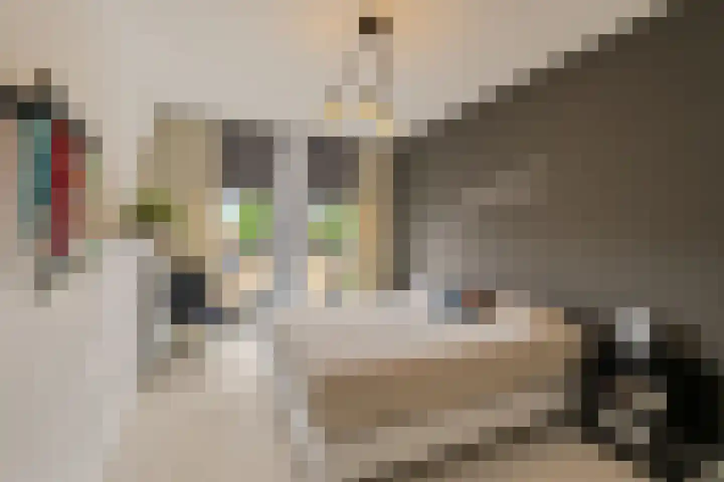 Kerkstraat 9 Klaaswaal thumbnail 29