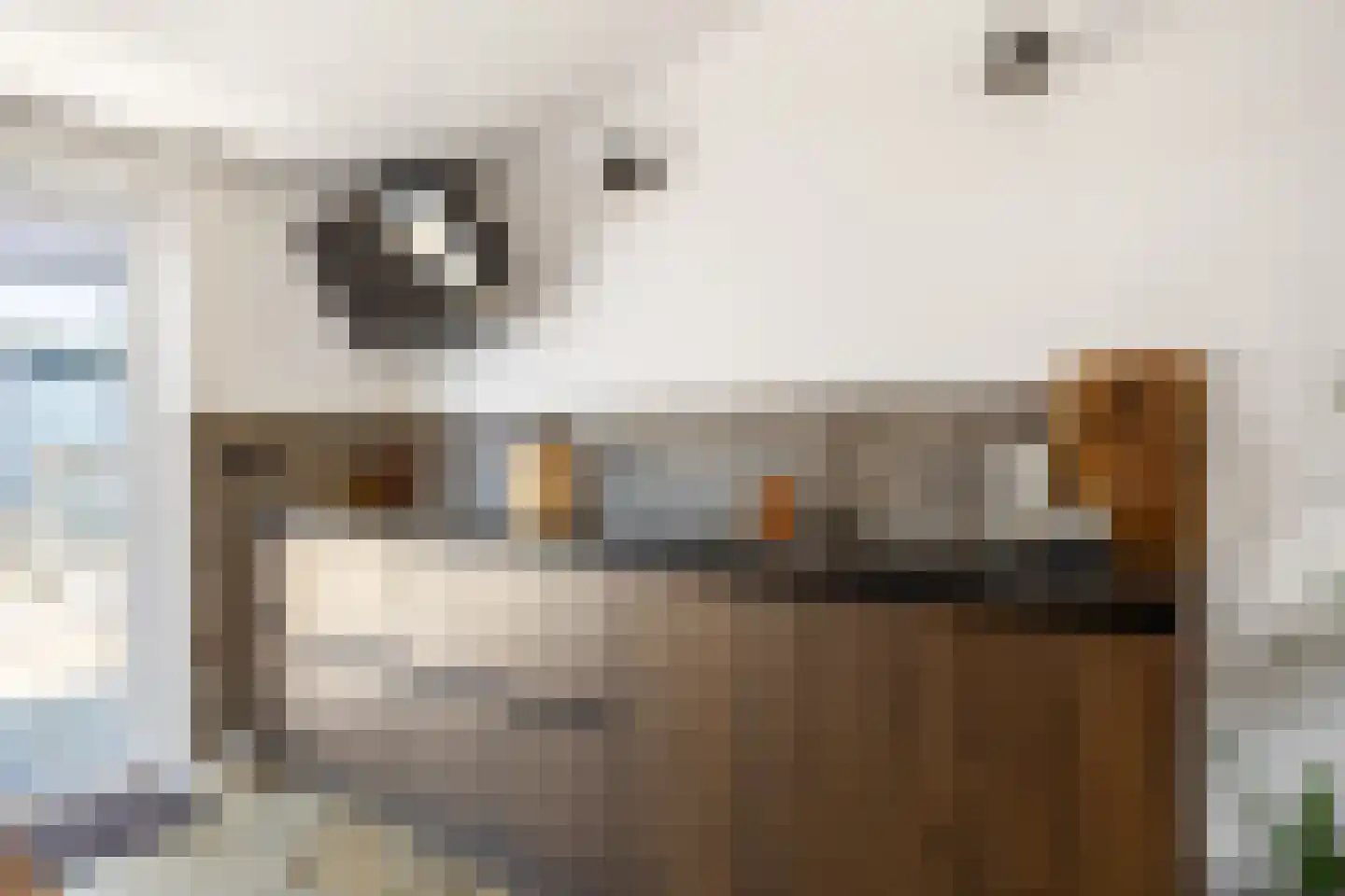 Kerkstraat 9 Kommerzijl thumbnail 20