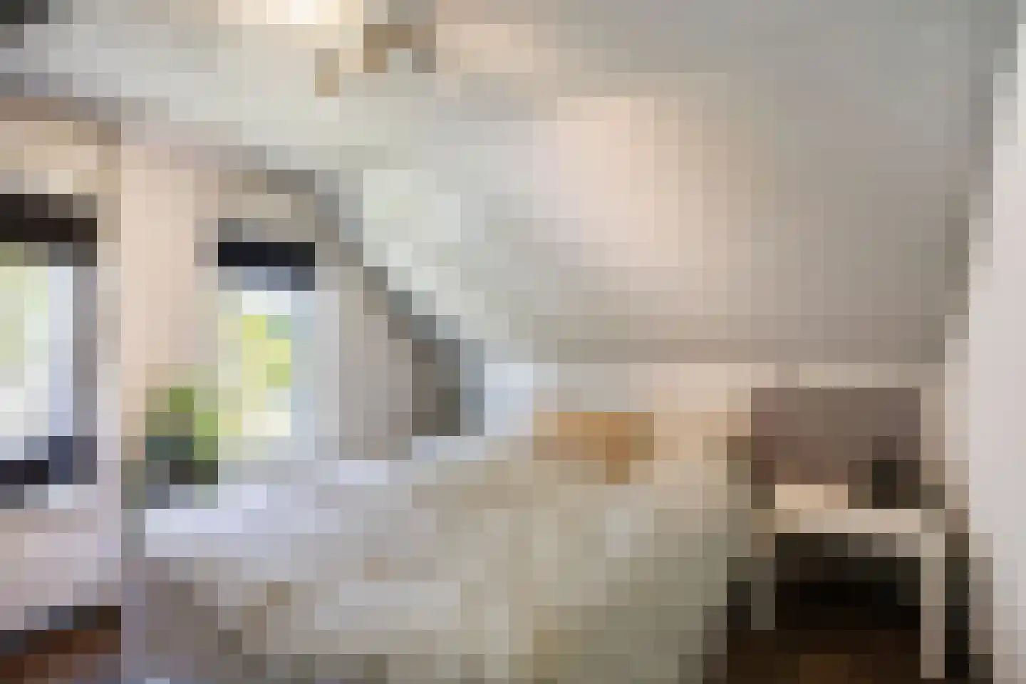 Kerkstraat 9 Kommerzijl thumbnail 32