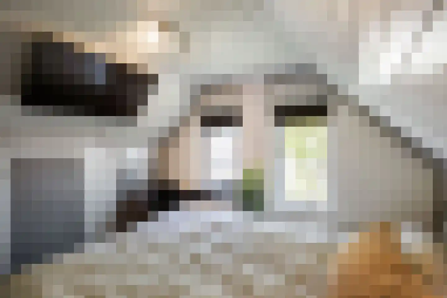 Kerkstraat 9 Kommerzijl thumbnail 33
